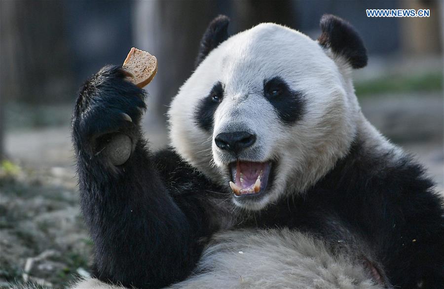 XINHUA PHOTO WEEKLY CHOICES