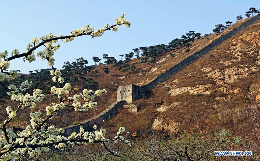 CHINA-LIAONING-SUIZHONG-GREAT WALL-SCENERY (CN)
