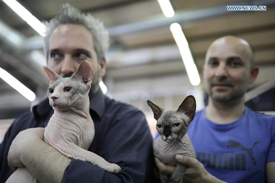 GREECE-THESSALONIKI-EXHIBITION-DOG AND CAT
