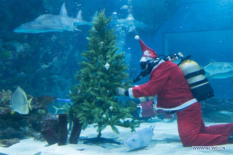 HUNGARY-BUDAPEST-DIVING SANTA