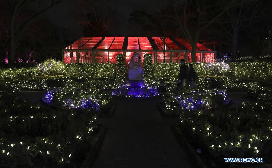 U.S.-HOUSTON-HOLIDAY SEASON-LIGHTS