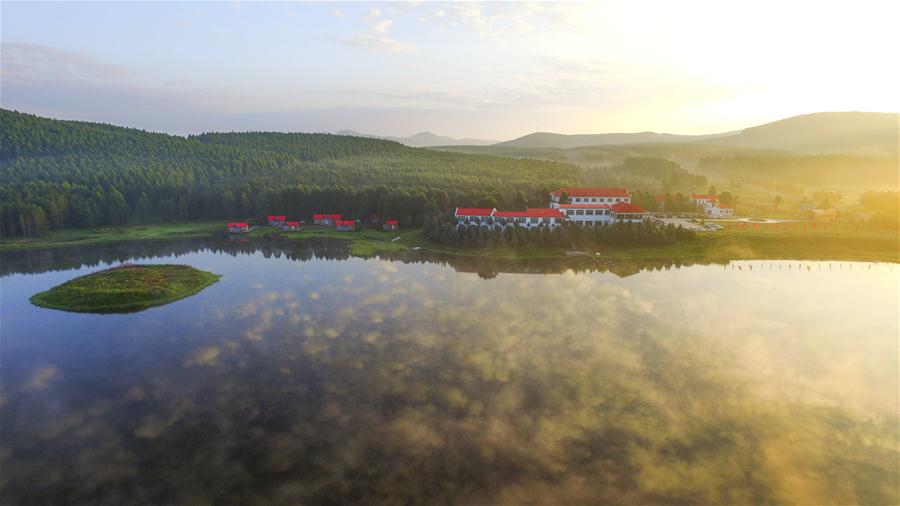 Xinhua Headlines: NASA satellite data verify China's contribution to global greening efforts