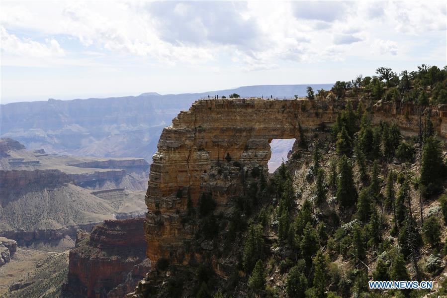 U.S.-LOS ANGELES-GRAND CANYON-SCENERY