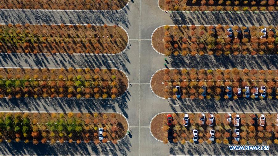 CHINA-YUNNAN-KUNMING-LAOYUHE WETLAND PARK-WINTER VIEW(CN)