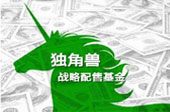 &ldquo;獨角獸基金&rdquo;帶給A股市場三大懸念