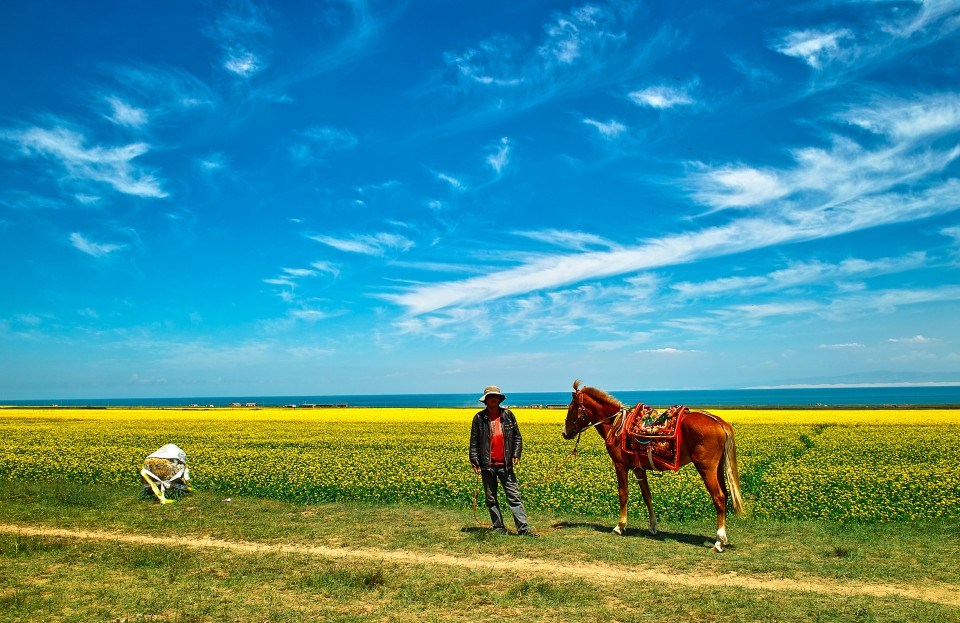 青海推行草原生態(tài)保護(hù)補(bǔ)獎(jiǎng)?wù)? /></a></p>
<p class=