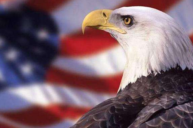 若鷹派掌權(quán)會(huì)發(fā)生什么？