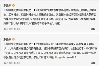 羅昌平:將公布舉報(bào)劉鐵男“來龍”