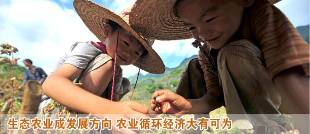 生態(tài)農業(yè)變身高富帥 農業(yè)循環(huán)經濟大有可為