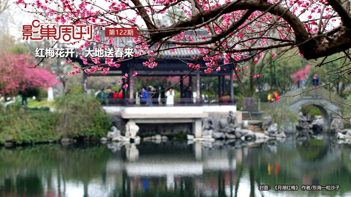 【影巢周刊】紅梅花開，大地送春來