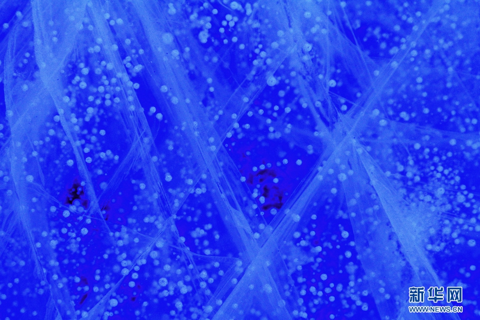 氣泡冰亮晶晶，藍精靈賽繁星