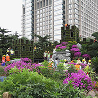 花壇和觀(guān)禮臺(tái)