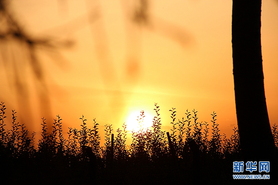 日落西山頭，人約黃昏后