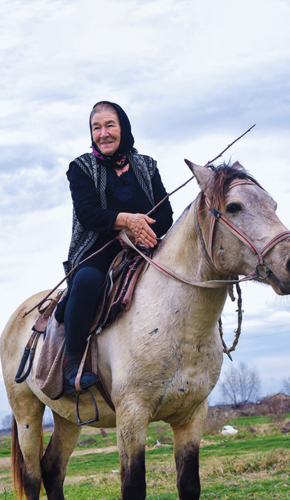 阿塞拜疆牧场上的马蹄声