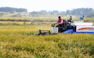 40年，小崗人的18個&ldquo;第一次&rdquo;