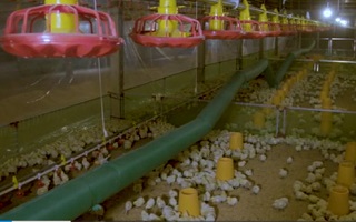 深河一家親 扶貧在路上&mdash;&mdash;深圳幫扶干部幫河源貧困戶&ldquo;算賬&rdquo;