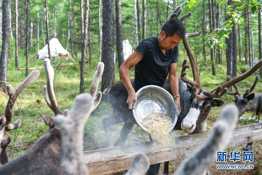 【聚焦脫貧攻堅】這組數(shù)字，來之不易