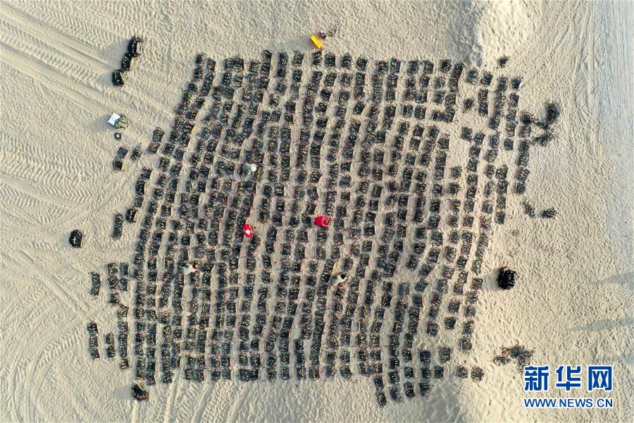 （新春走基層）（2）石油物探隊的&ldquo;女漢子&rdquo;