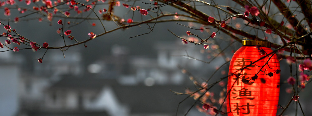 春來花開，綻放正當(dāng)時