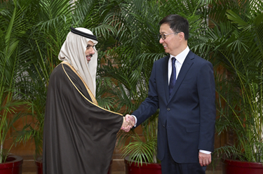 韓正集體會(huì)見阿拉伯、伊斯蘭國家外長聯(lián)合代表團(tuán)