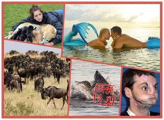 一周趣圖：&ldquo;美人魚情侶&rdquo;海底上演唯美愛(ài)情