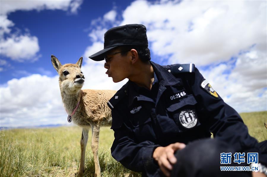 （十九大&middot;讀報告 話民生）（8）加快生態(tài)文明體制改革，建設美麗中國