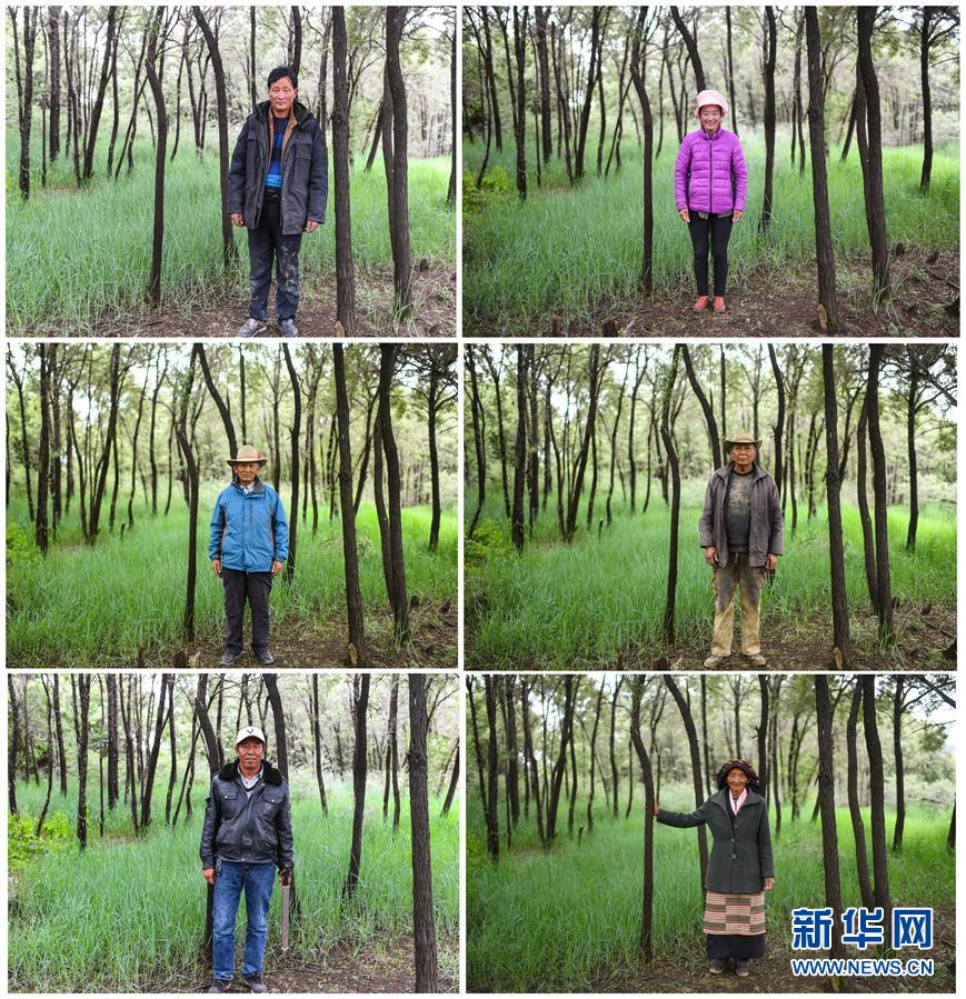 （十九大&middot;讀報(bào)告 話民生）（9）加快生態(tài)文明體制改革，建設(shè)美麗中國(guó)