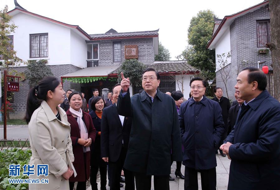 這是11月22日，張德江來到成都郫縣青杠樹村，了解村民委員會(huì)工作情況。 新華社記者 劉衛(wèi)兵 攝 