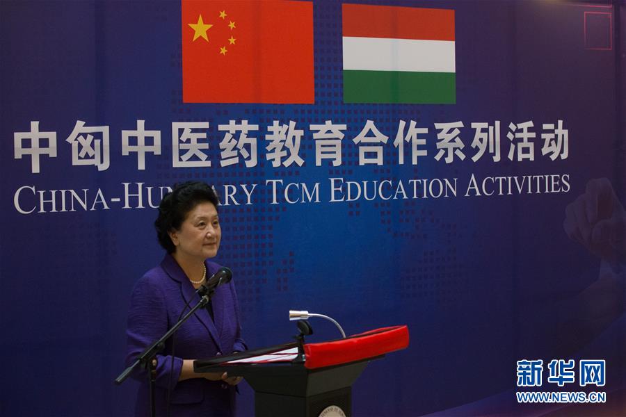 6月18日，在匈牙利布達(dá)佩斯，中國國務(wù)院副總理劉延?xùn)|出席中匈中醫(yī)藥教育合作系列活動(dòng)時(shí)講話。中國國務(wù)院副總理劉延?xùn)|18日在布達(dá)佩斯考察匈牙利塞梅爾維斯醫(yī)科大學(xué)并出席中匈中醫(yī)藥教育合作系列活動(dòng)。 新華社發(fā)（弗爾季&middot;奧蒂洛攝）