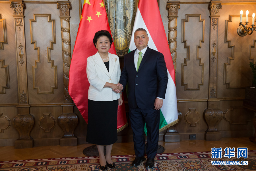  6月21日，國務(wù)院副總理劉延東（左）在匈牙利布達佩斯國會大廈會見匈牙利總理歐爾班。 新華社發(fā)（弗爾季&middot;奧蒂洛攝）