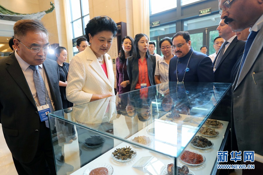 7月6日，金磚國家衛(wèi)生部長會暨傳統(tǒng)醫(yī)藥高級別會議在天津開幕。這是國務(wù)院副總理劉延?xùn)|與外賓一起參觀傳統(tǒng)醫(yī)藥文化展。 新華社記者 張玉薇 攝