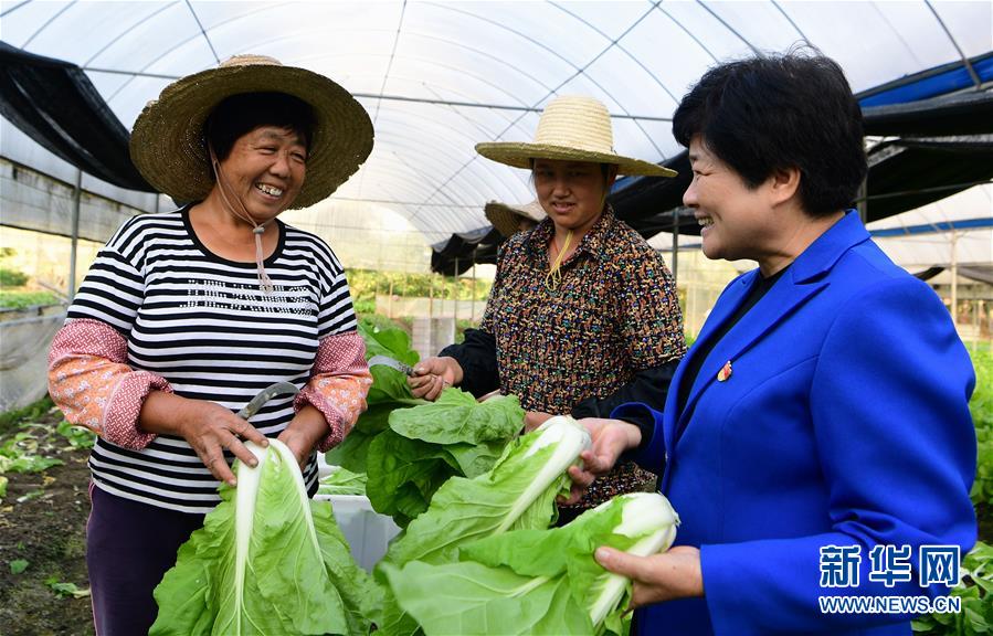(十九大代表在基層·圖文互動)(3)沈騰香:保護好綠水青山 圓鄉(xiāng)親們小康夢