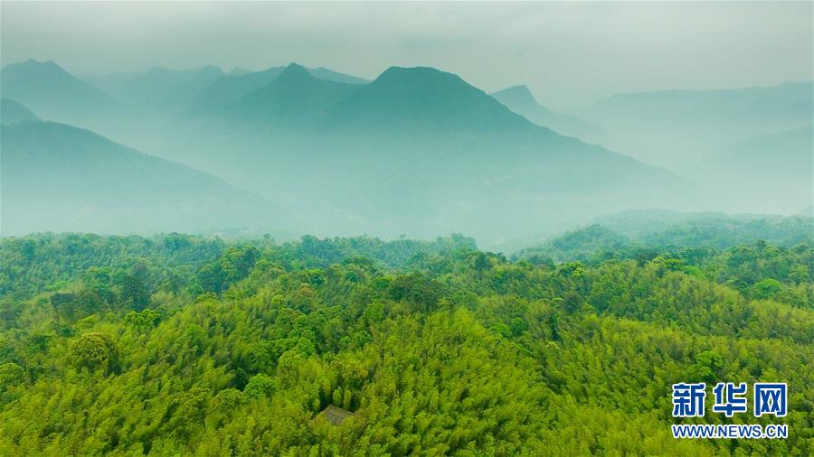 （新華全媒頭條&middot;圖文互動）（9）赤水：別了，貧困！