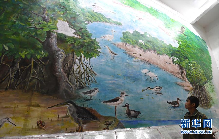 （圖文互動）（5）十年樹木、紅樹成林&mdash;&mdash;&ldquo;海上森林&rdquo;回歸記