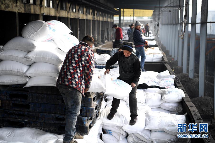 (新春走基層)(1)安徽:農(nóng)資“春運”助春耕