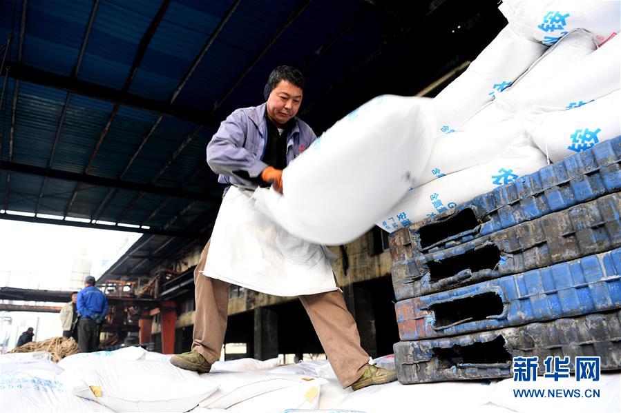 (新春走基層)(3)安徽:農(nóng)資“春運(yùn)”助春耕