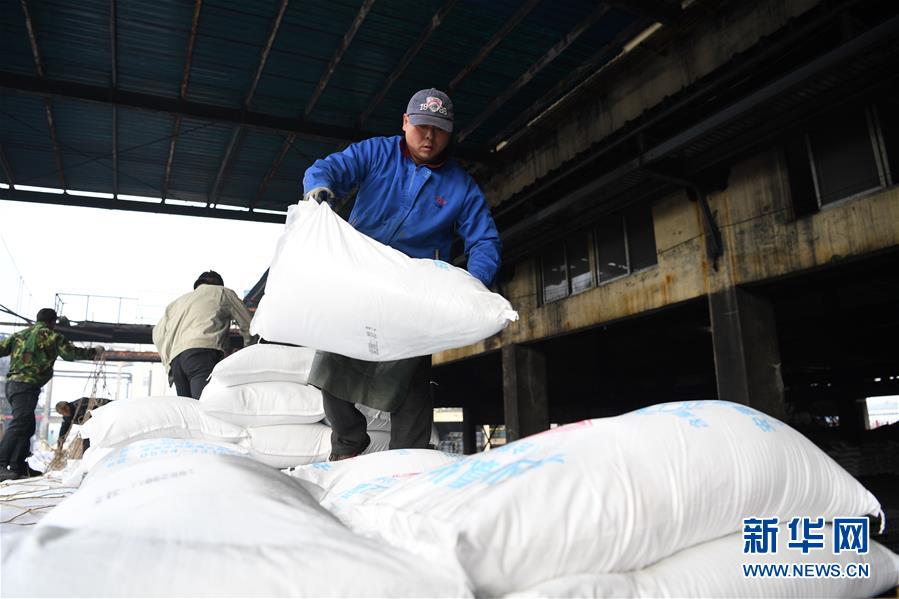 (新春走基層)(8)安徽:農(nóng)資“春運”助春耕