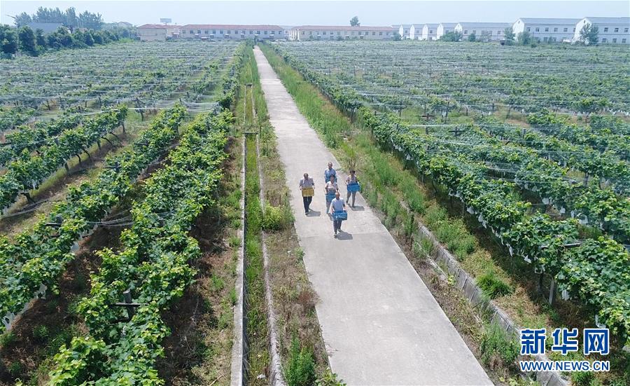 （新華全媒頭條&middot;紀(jì)念改革開(kāi)放40年特稿&middot;圖文互動(dòng)）（5）向著新航程揚(yáng)帆奮進(jìn)！&mdash;&mdash;從小崗精神看中國(guó)改革開(kāi)放40年