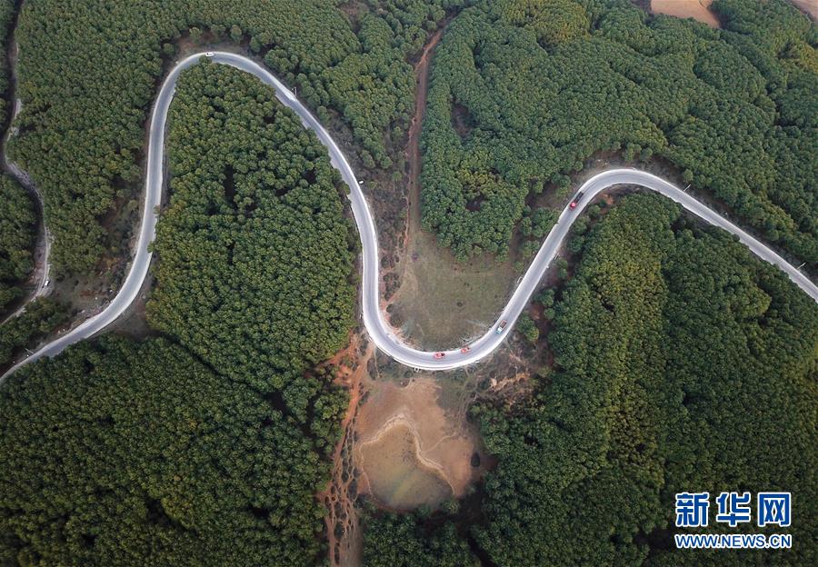 （圖文互動）（4）貴州沙子坡林場：三代護林員守護一片&ldquo;林海&rdquo;