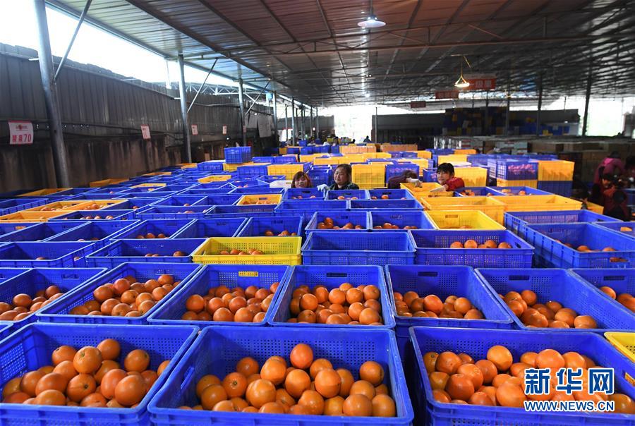 （新華全媒頭條&middot;習(xí)近平新時代中國特色社會主義思想在基層&middot;改革發(fā)展新氣象&middot;圖文互動）（5）改革創(chuàng)新潮涌動 激活發(fā)展新引擎