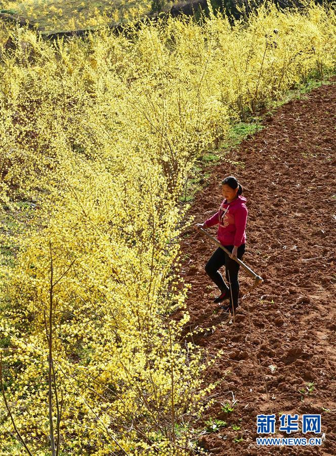 （新華全媒頭條&middot;習(xí)近平新時代中國特色社會主義思想在基層&middot;改革發(fā)展新氣象&middot;圖文互動）（6）改革創(chuàng)新潮涌動 激活發(fā)展新引擎