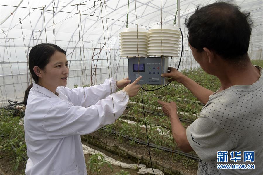 (經(jīng)濟(jì))(2)推廣農(nóng)業(yè)科技助推鄉(xiāng)村振興