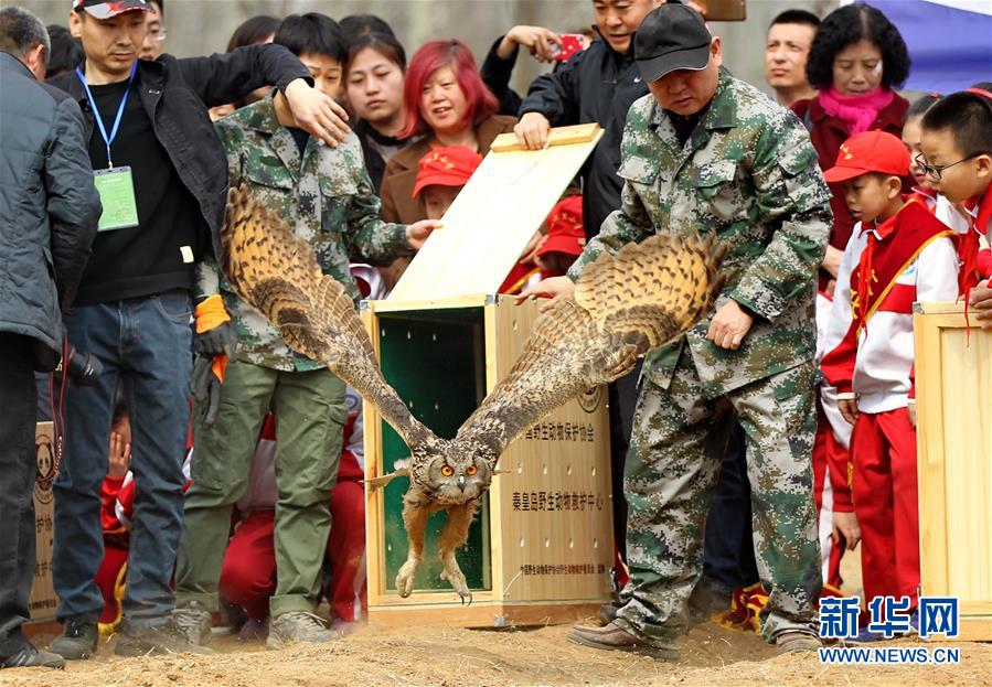 (鏡觀中國·新華網(wǎng))(14)新華社國內(nèi)照片一周精選