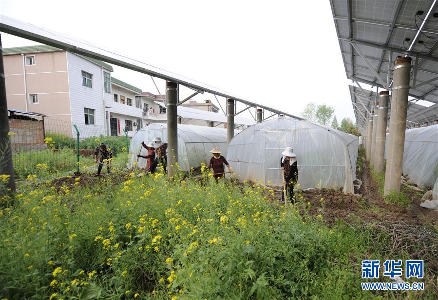 (圖文互動(dòng))(2)第一書(shū)記李傳璽的駐村生活