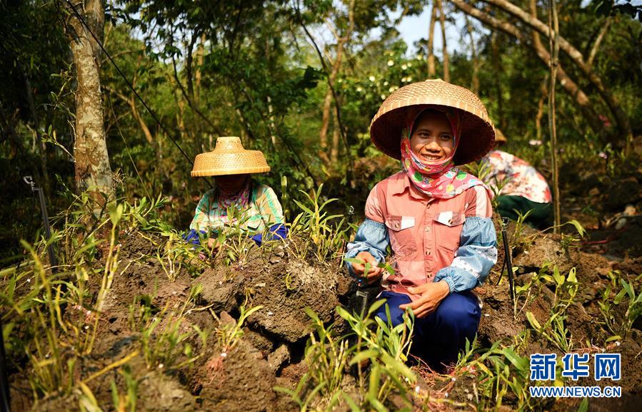 （新媒體專線）（6）立足獨(dú)特優(yōu)勢(shì) 勇立改革潮頭&mdash;&mdash;習(xí)近平總書記在海南考察回訪記