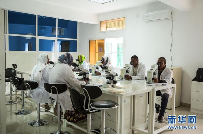 (新華全媒頭條·世界防治瘧疾日·圖文互動)(2)“月亮之國”的驅(qū)魔人——記非洲抗瘧戰(zhàn)場上的廣東團(tuán)隊