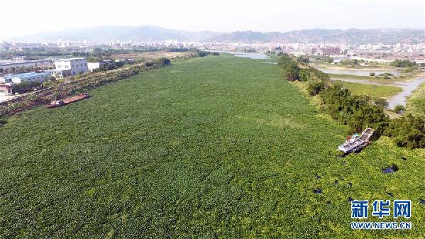 （圖文互動）（1）&ldquo;白練&rdquo;變&ldquo;黑龍&rdquo;，江河變&ldquo;草原&rdquo;－－粵東母親河為何污染20多年難治理？