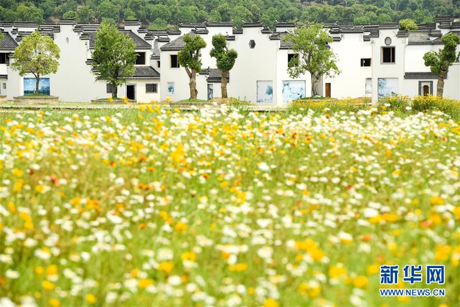 （新華全媒頭條&middot;搶救古民居&middot;圖文互動）（2）當古民居遇上城鎮(zhèn)化，如何留住鄉(xiāng)愁？