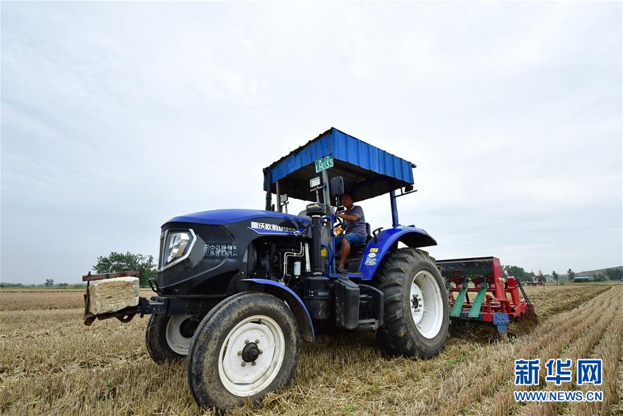 （經(jīng)濟）（3）搶抓農時夏種忙