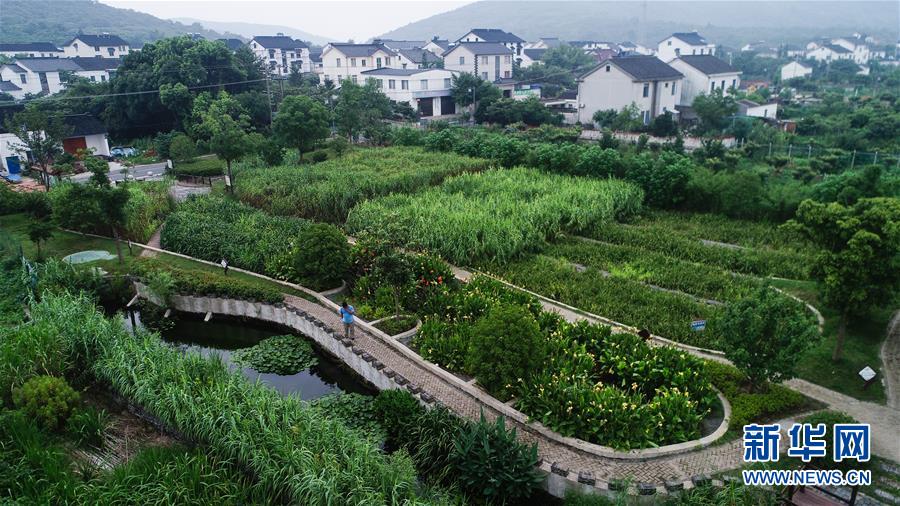 （在習(xí)近平新時(shí)代中國(guó)特色社會(huì)主義思想指引下&mdash;&mdash;新時(shí)代新作為新篇章&middot;圖文互動(dòng)）（1）稀奇！治污濕地成了休閑公園&mdash;&mdash;江蘇蘇州全域推進(jìn)農(nóng)村生活污水治理